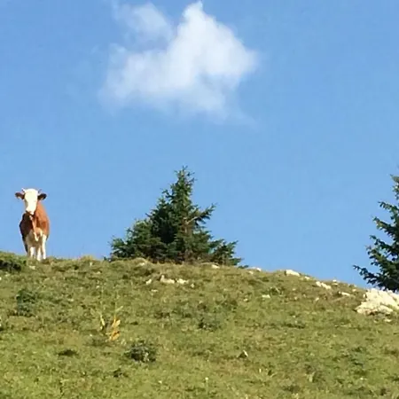 La Martenie * Mijoux
