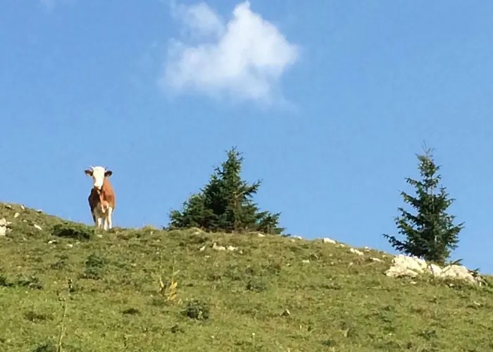 La Marténie * Mijoux